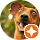 imagealt