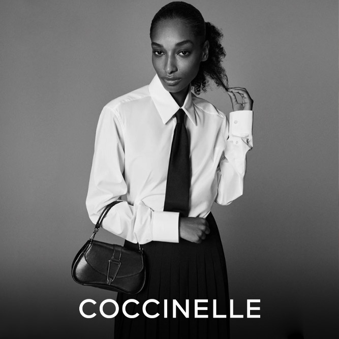 Coccinelle