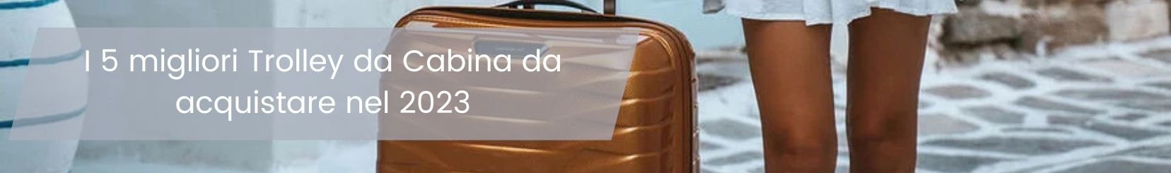 I migliori Trolley da Cabina